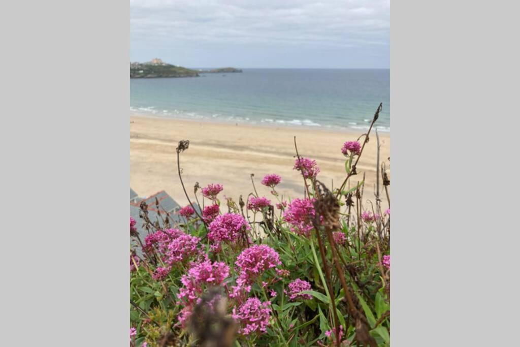 Beautiful 3 Bedroom Apartment By The Sea New Quay Eksteriør billede