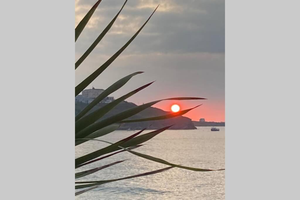 Beautiful 3 Bedroom Apartment By The Sea New Quay Eksteriør billede