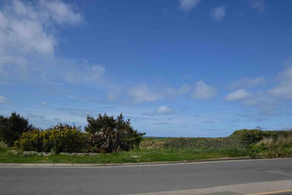 Beautiful 3 Bedroom Apartment By The Sea New Quay Eksteriør billede