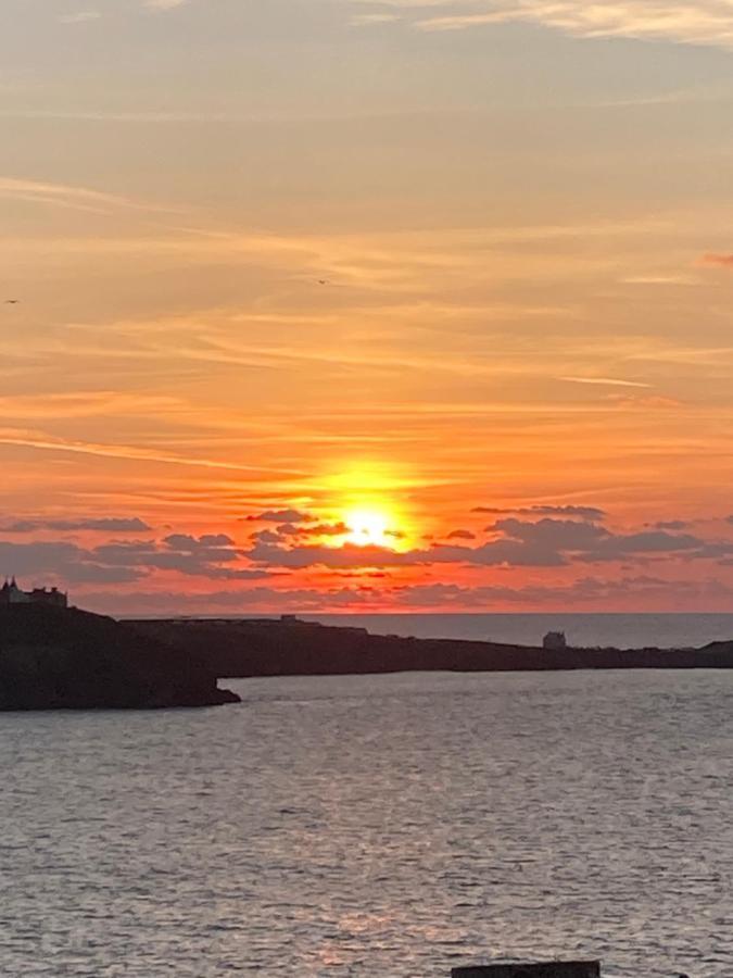 Beautiful 3 Bedroom Apartment By The Sea New Quay Eksteriør billede