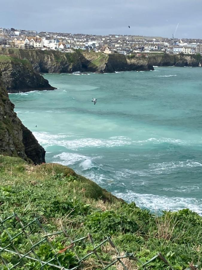 Beautiful 3 Bedroom Apartment By The Sea New Quay Eksteriør billede